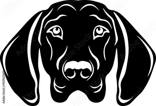 Bavarian Mountain Scent Hound