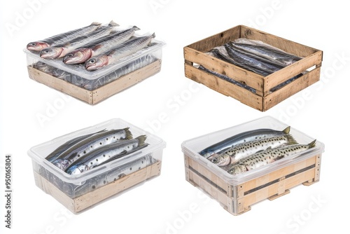 Wallpaper Mural Fish in cutouts packed in plastic and wooden crates Torontodigital.ca