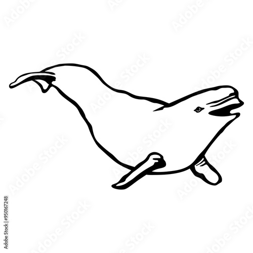 Beluga Whale
