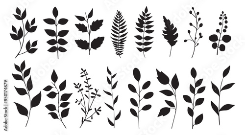 Collection of Various Leaf Silhouettes in Black on White Background for Botanical Design