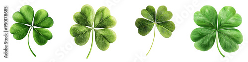 A collection of four vibrant green clovers, symbolizing luck and prosperity, perfect for nature-themed designs and celebrations.