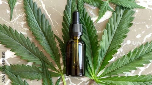 A glass bottle of CBD oil placed among fresh marijuana leaves on a textured surface in daylight photo