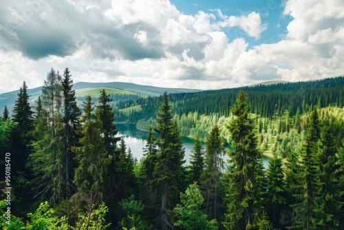 A beautiful forest with a lake in the background. The trees are tall and green, and the sky is cloudy