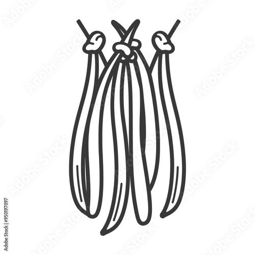 Line Drawing of Hanging Vanilla Beans