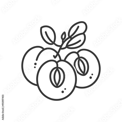 Line drawing of three peaches with leaves
