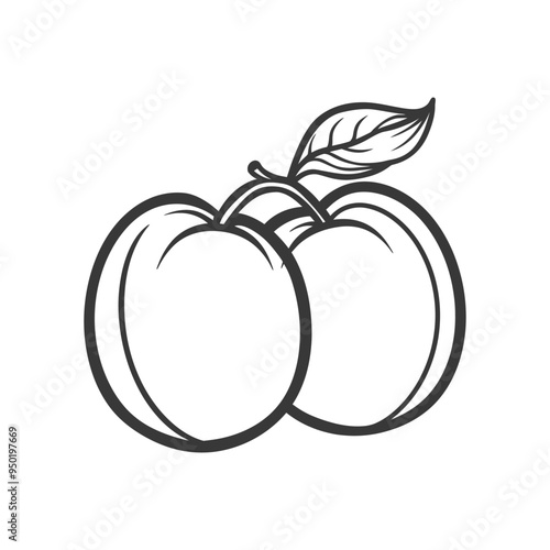 Line drawing of two peaches with a leaf