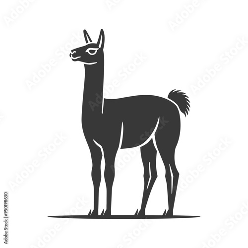 Silhouette of a Standing Llama
