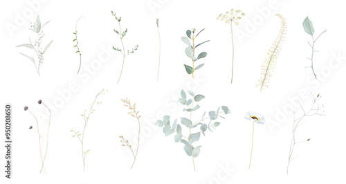 Mix of herbs and plants vector big collection. Rustic wedding greenery. Wildflowers, minimalist leaves and thin dried stems. Watercolor style set.Sage, silver, beige.Elements are isolated and editable