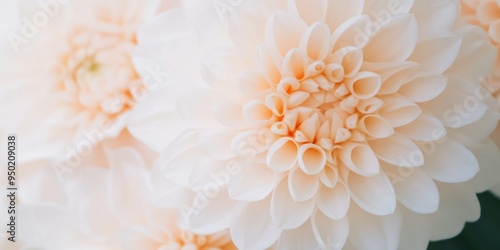 Close-Up of Blooming Flower with Softly Blurred Background Highlighting Delicate Petals Unfurling in Daylight