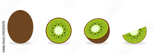 Kiwi Fruit Whole and Sliced Illustrations