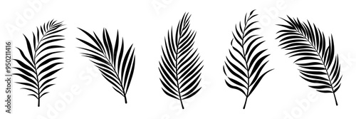 Set of Five Black Palm Leaf Silhouettes photo