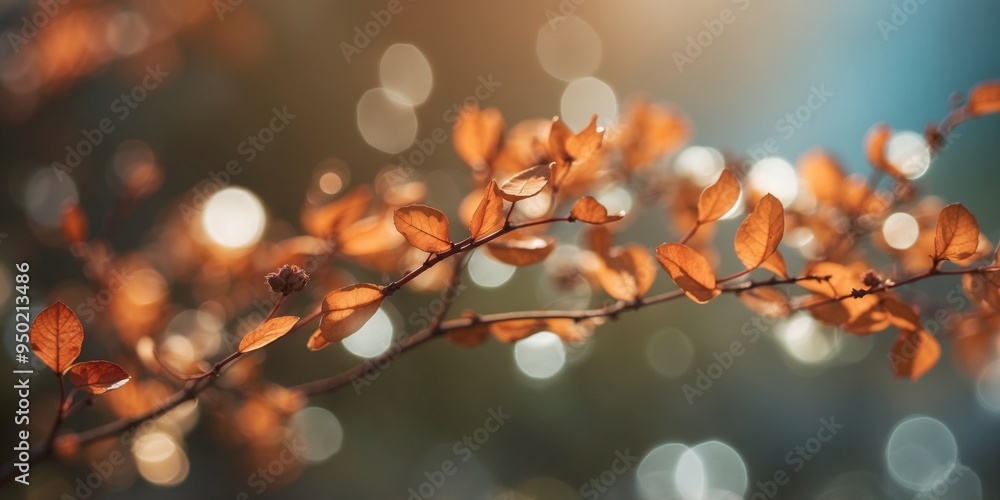 Fototapeta premium abstract asymmetrical light background with warm summer colors.