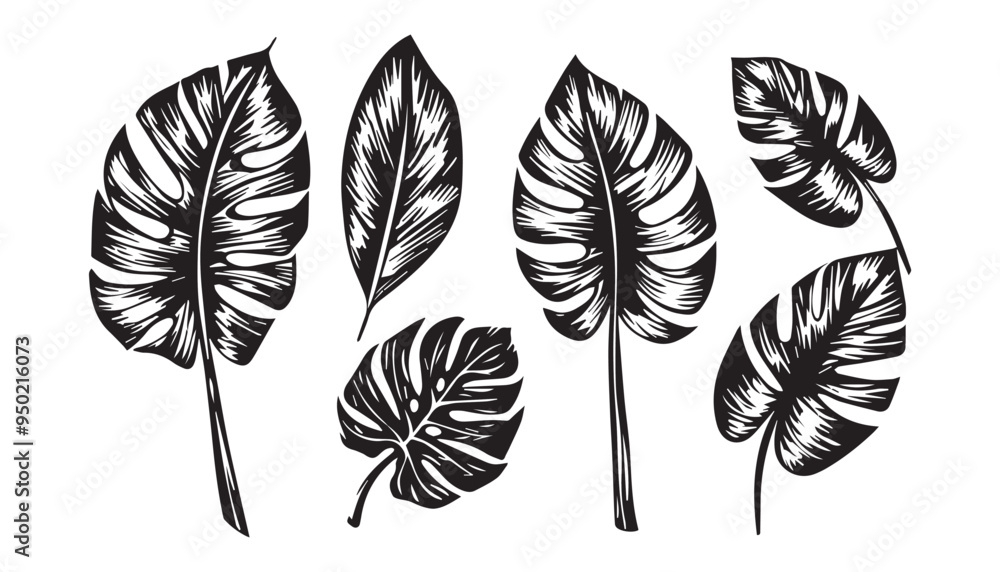 Fototapeta premium Hand-Drawn Tropical Leaves Set in Black and White with Vintage Engraved Style