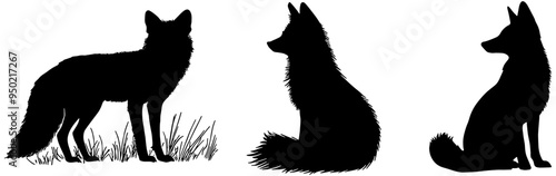 Set of three foxes in different poses in silhouette