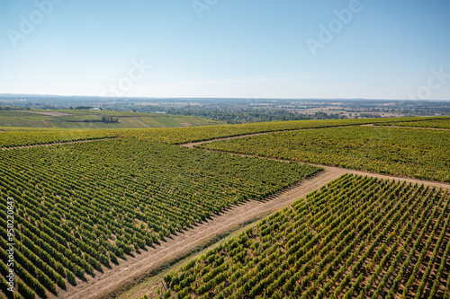 view of landscape and vineyard of Sancerre in France