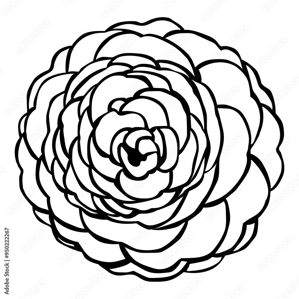 Obraz premium Camellia Flower