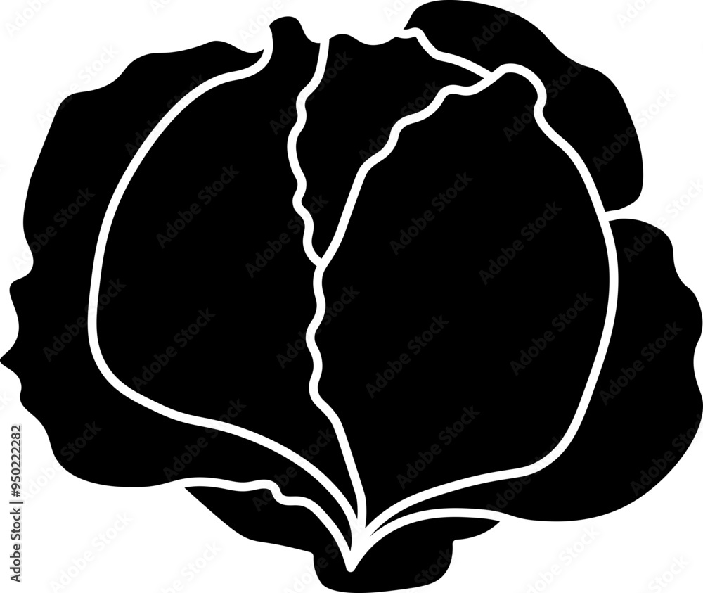 Cabbage
