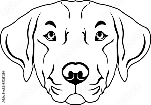 Chesapeake Bay Retriever