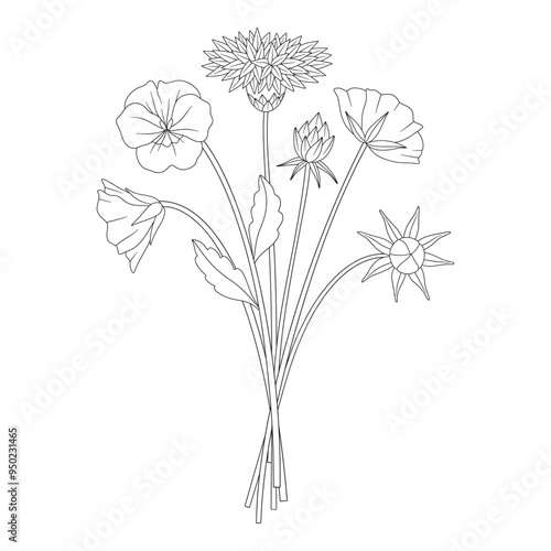 Wildflower bouquet with common knapweed and pansy. Meadow flowers and wild plants. Line art, minimal style, contour. Botanical hand-drawn elements for design projects. Vector illustration