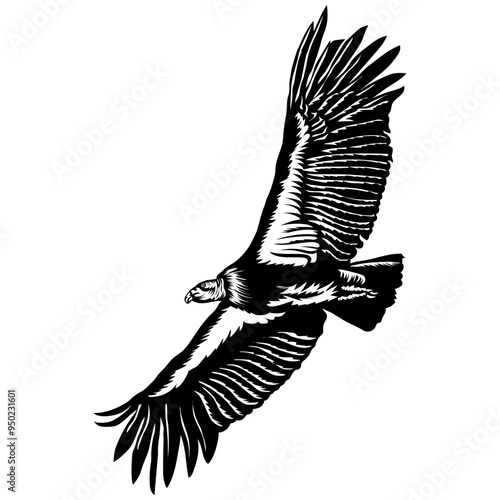 Condor
