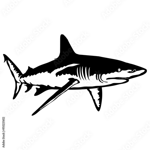 Copper Shark