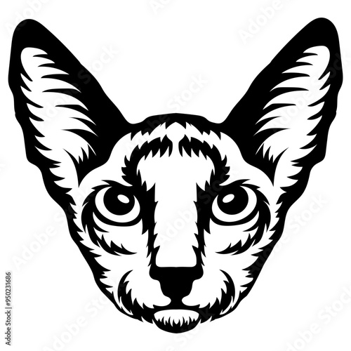 Cornish Rex Cat Face