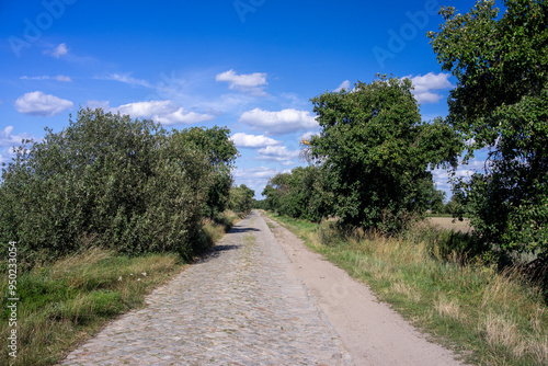 Kamienista, wyboista zapomniana droga łącząca małe wsie idealna na spacer photo