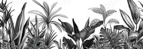 Black and White Tropical Leaves Illustration