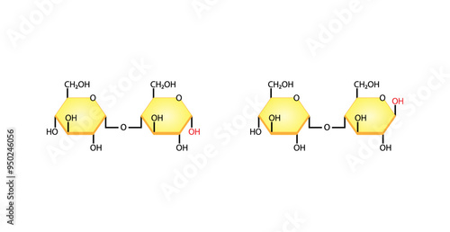 Maltose, malt sugar, chemical structure. Maltobiose. Disaccharide Molecule. Glucose Sugar units. Scientific Diagram. Vector Illustration.	