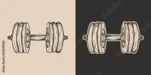 Vintage retro engraving woodcut style sketch draw paint of gym sport weight dumbbell powerlifting exercise equipment