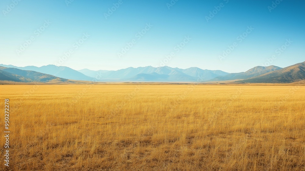 A vast golden grass field stretches into the distance, leading to a majestic mountain range under a clear blue sky. A vast golden grass field stretches into the distance, leading to a majestic mountain range under a clear blue sky.