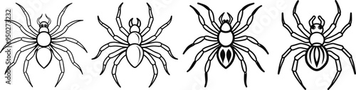 illustration of a spider set isolated on white background