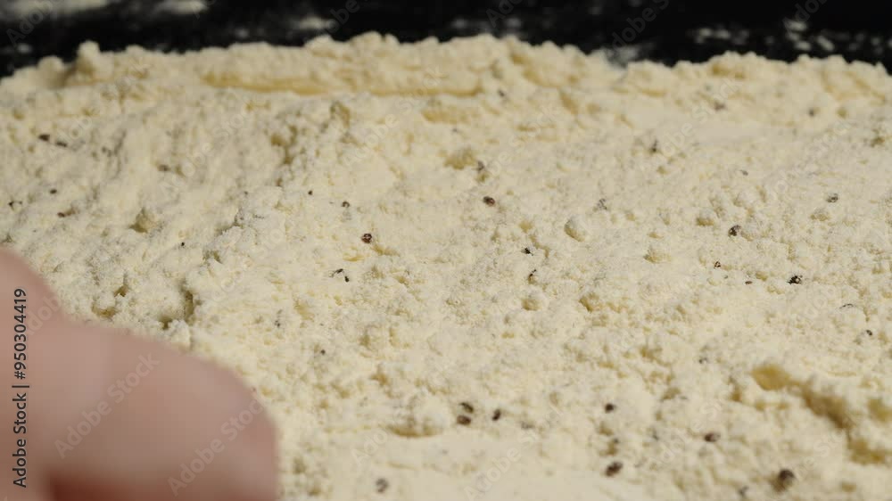 close-up of flour with parasitized small eggs of the beetle Tribolium confusum. Hand sifting through them close-up of flour with parasitized small eggs of the beetle Tribolium confusum. Hand sifting through them