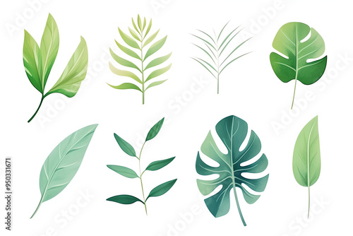 Collection of various green leaves with different shapes and textures, perfect for nature-themed design projects and backgrounds. photo