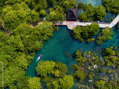 Aerial drone view of Tha Pom, the mangrove forest in Krabi, Thailand photo