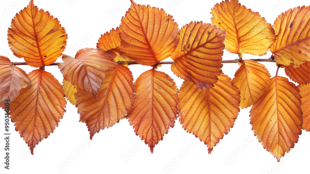 A row of vibrant autumn leaves showcasing warm orange hues. A row of vibrant autumn leaves showcasing warm orange hues.