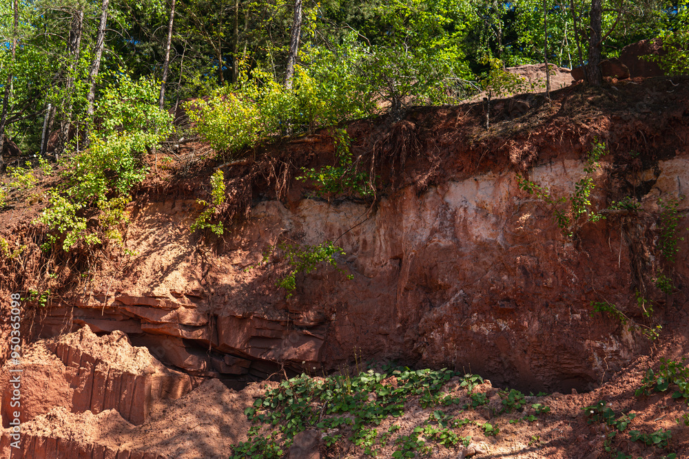 Fototapeta premium Layers of soil on the sandstone and under the forest