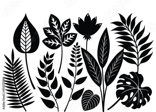 flower vector silhouette illustration