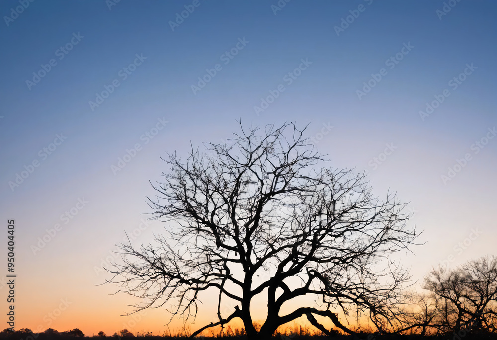 A piece of wood without leaves, silhouette A piece of wood without leaves, silhouette