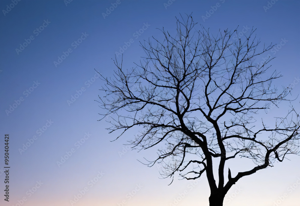 A piece of wood without leaves, silhouette A piece of wood without leaves, silhouette