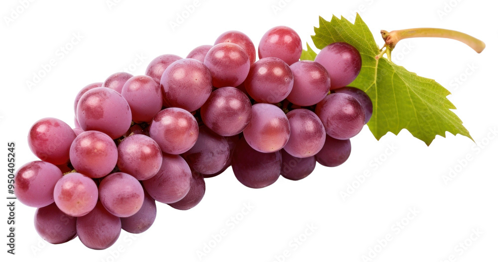 Fototapeta premium PNG Grapes fruit plant food.