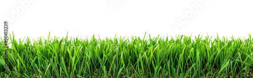 A seamless row of artificial turf forming a horizontal decorative border, set against a pristine white background. The turf is rich in color, with a consistent, evenly cut length
