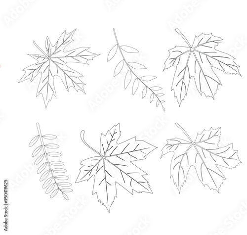 Line art drawing of a set of leaves.