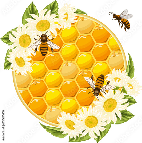 Flowers in the decoration of honeycombs.Honeycombs in a round frame with a decor of daisies and bees.Color vector illustration.