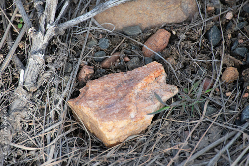 rocks strew on the ground