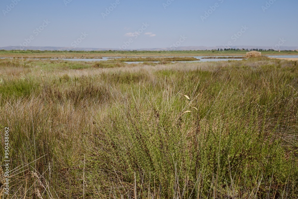 Riserva naturale di Vendicari, Siracusa Riserva naturale di Vendicari, Siracusa