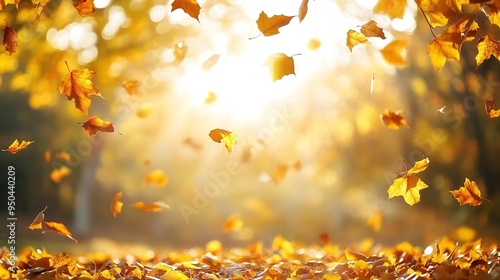 Autumn background with falling leaves and sunlight, an autumn nature background with copy space for text. 