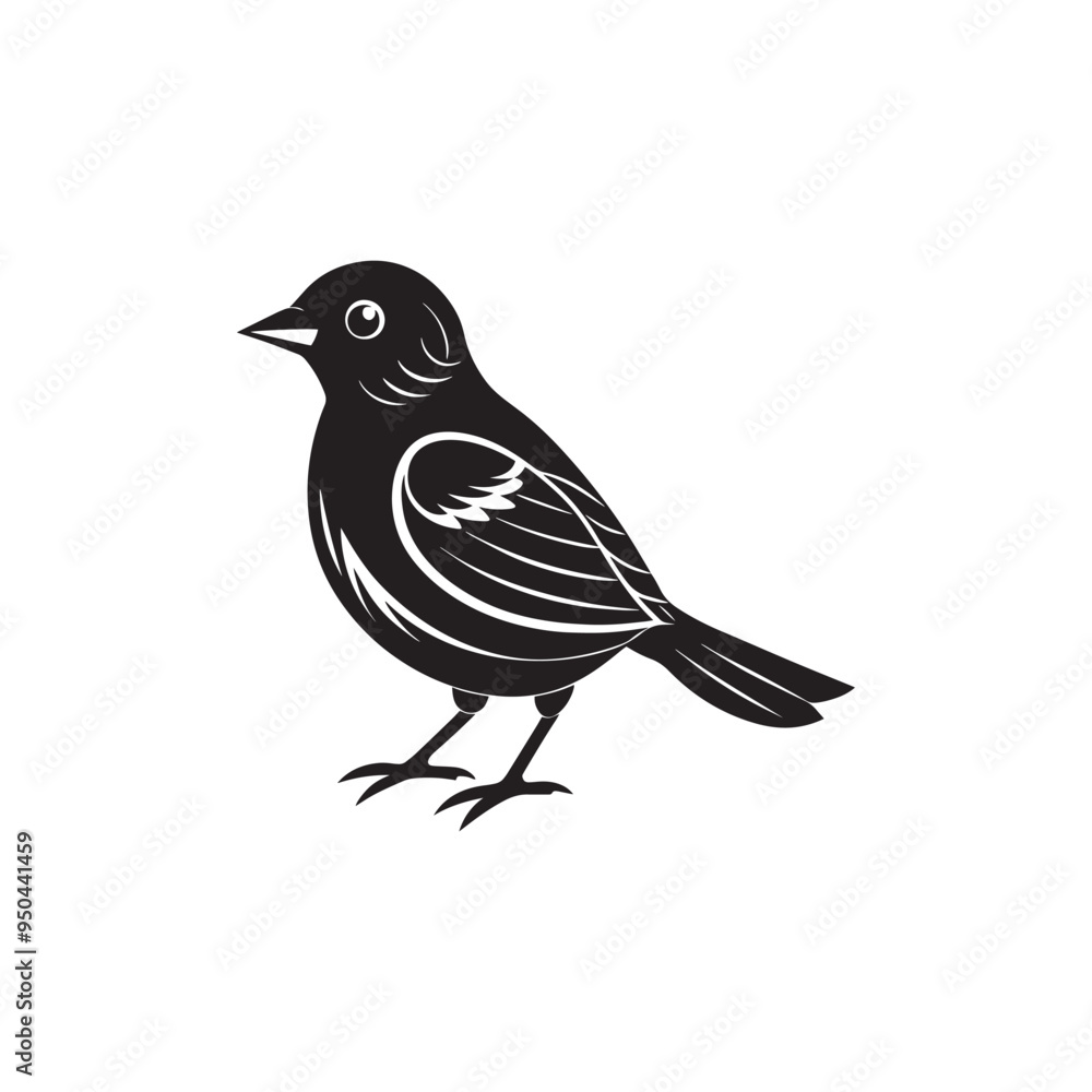 House Sparrow Identification Guide: Tips for Birdwatchers House Sparrow Identification Guide: Tips for Birdwatchers