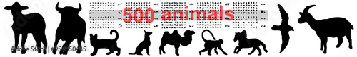 animal set png collection outline isolated shape