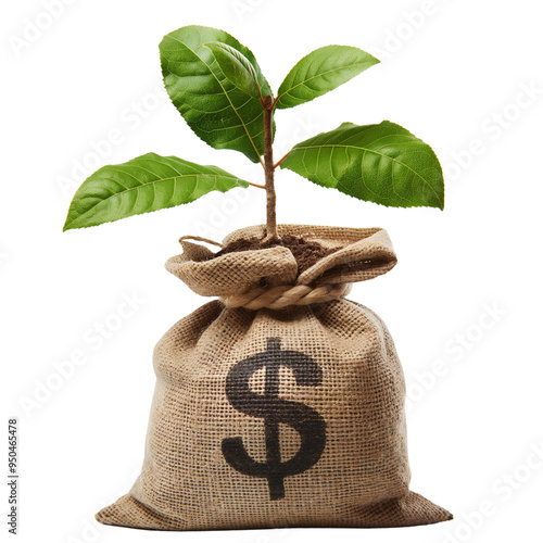 Money bag with dollar sign and money tree growing out the top ,Tie a bow tie  , Isolated on white background. photo